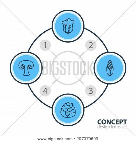 Editable Pack Of Fungi, Maize, Cole And Other Elements.  Vector Illustration Of 4 Vegetables Icons.