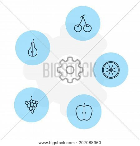 Editable Pack Of Morello, Duchess, Vineyard And Other Elements.  Vector Illustration Of 5 Berry Icons.