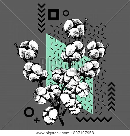 Hand drawn cotton plant in vintage style. cotton white flower plant vector