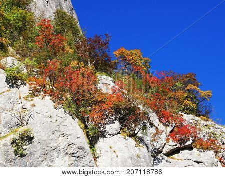 Alpine landscape in Cernei Mountains, Romania, Europe
