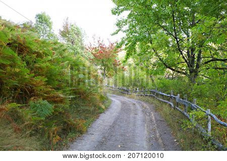 Mountain fall landscape in Cernei Mountains, Romania, Europe