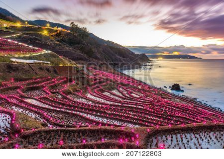 Wajima, Japan at Shiroyone Senmaida rice terraces night light up.