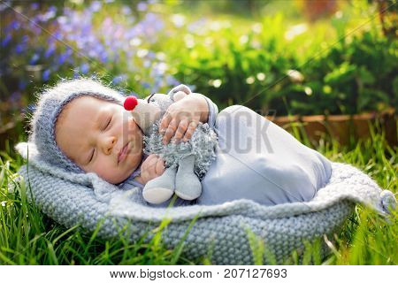 Cute Little Newborn Baby Boy, Sleeping, Holding Cute Little Mouse Toy