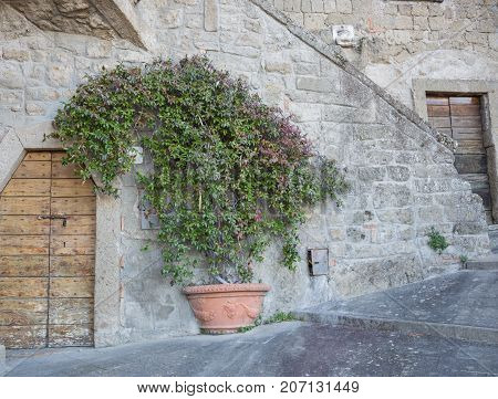 Bomarzo Lazio Italy 26 March 2017. Details of the entire country of Bomarzo from the alleys to the churches and the animals of the place