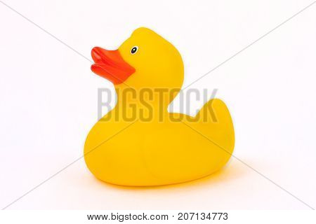 One rubber yellow duckling on a white background