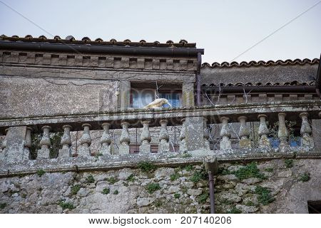 Bomarzo Lazio Italy 26 March 2017. Details of the entire country of Bomarzo from the alleys to the churches and the animals of the place