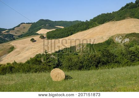 Summer landscape along the road from Lunano to Urbania (Montefeltro Pesaro Urbino Marches Italy)
