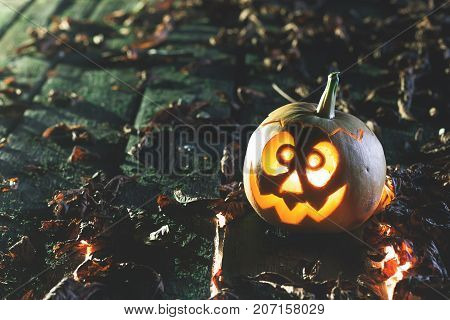 Halloween one little pumpkin at wood background. Carved scary faces of pumpkin. October holiday. Baby pumpcin. Copy space
