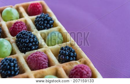 Belgian waffels with grape, blueberry, raspberry on pink background