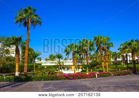 Sharm El Sheikh, Egypt - September 26, 2017: Buildings and Area Hotel Monter Carlo Sharm Resort and SPA at Sharm El Sheikh, Egypt on September 26, 2017