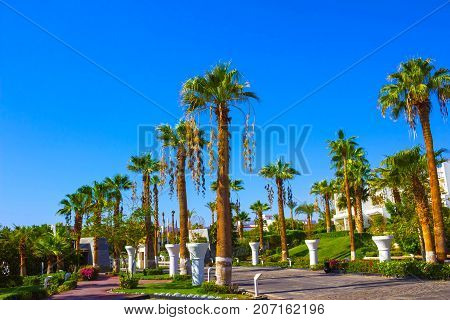 Sharm El Sheikh, Egypt - September 26, 2017: Buildings and Area Hotel Monter Carlo Sharm Resort and SPA at Sharm El Sheikh, Egypt on September 26, 2017
