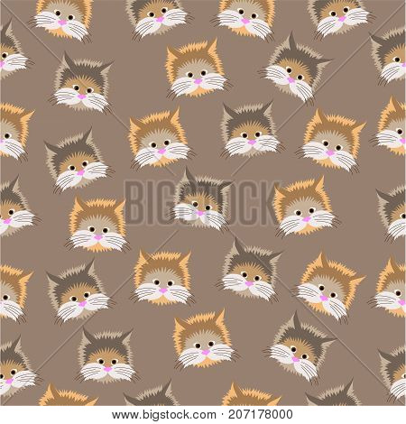 Muzzle of cats on a beige background.
