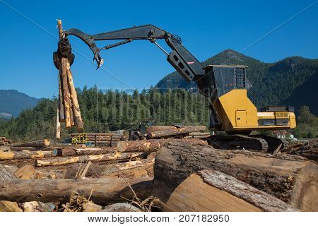 Heavy duty machine industrial forestry logger mountain landscape sunny day