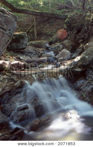 Små efterår Stream