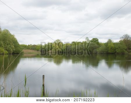 Spring in England / Bedfont Lakes Country Park, London, United Kingdom
