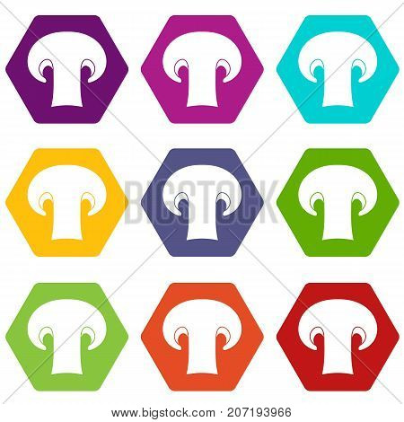 Champignon mushroom icon set many color hexahedron isolated on white vector illustration