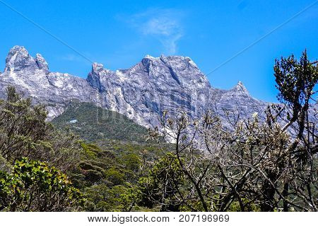 Peaks of the majestic Mountain Kinabalu seen through twisted alpine trees growing at high altitude.Its the highest mountain in Malaysia is one of Borneo's most popular tourist attractions & climbers.