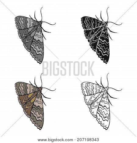 Moth, night butterfly. Insect pest moth single icon in cartoon style vector symbol stock isometric illustration .