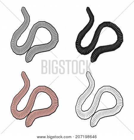 A worm, a boneless animal. Earthworm single icon in cartoon style vector symbol stock isometric illustration .