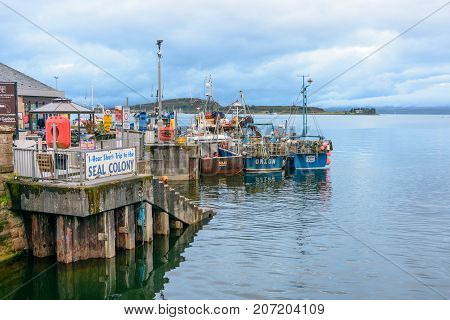 Blue Hour On The Oban Bay, Scotland