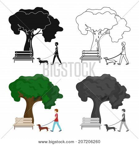 Tree and bench, woman walks a pet in the park. Pet, Dog care single icon in cartoon style vector symbol stock illustration .