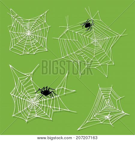 Spider web silhouette arachnid fear graphic flat scary animal poisonous design nature phobia insect danger horror tarantula halloween vector icon. Creepy warning symbol poison silhouette.