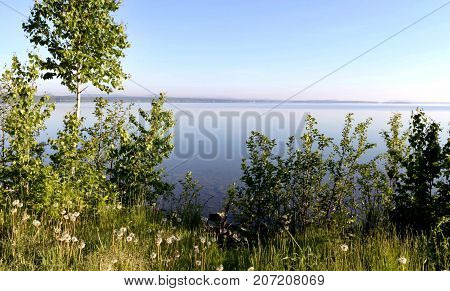 wooded shore of the lake Uvildy, South Ural