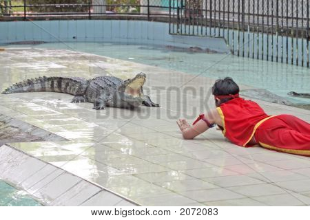 Crocodile en colère