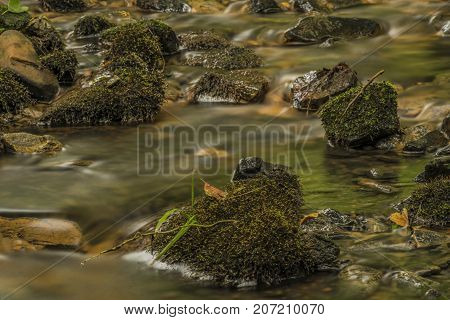 Usovicky creek near Marianske Lazne spa town in autumn day