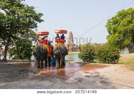 Ayutthaya Thailand  April 15, 2016 : Riding an elephant The elephant is the dominant activity of the main attractions -  Ayutthaya historical park And a World Heritage Area
