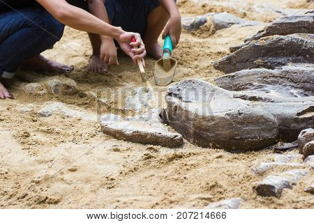 Children learning about, Excavating dinosaur fossils simulation in the park.