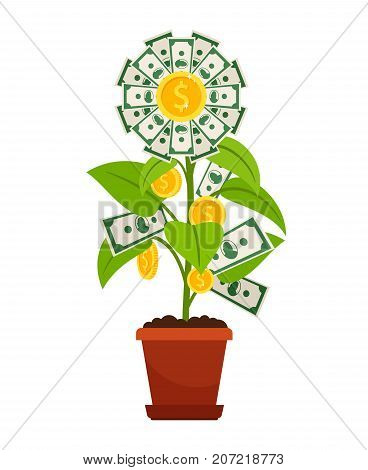 Flower money isolated on white background. Investment finance growth investment concept
