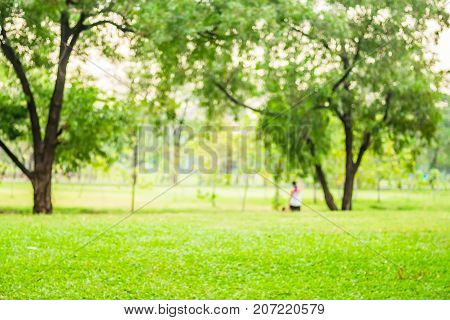 Blurred Background,people Exercise At Green Park With Bokeh Light. Healthy Lifestyle Concept