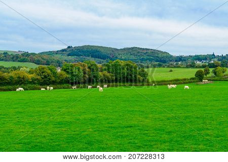 Countryside In The Morvan Mountains