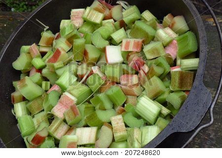 Rhubarb