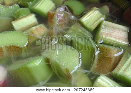 Rhubarb