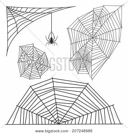 Spider web silhouette arachnid fear graphic flat scary animal poisonous design nature phobia insect danger horror tarantula halloween vector icon. Creepy warning symbol poison silhouette.