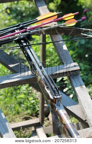 Crossbow, weapons producing boom.crossbow resting on tree trunk in autumn woods