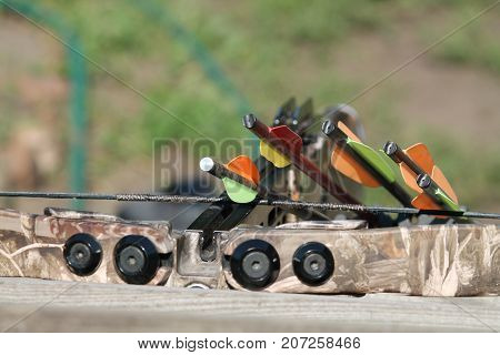 Crossbow, weapons producing boom.crossbow resting on tree trunk in autumn woods