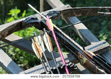 Crossbow, weapons producing boom.crossbow resting on tree trunk in autumn woods