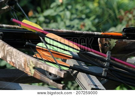 Crossbow, weapons producing boom.crossbow resting on tree trunk in autumn woods