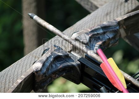Crossbow, weapons producing boom.crossbow resting on tree trunk in autumn woods