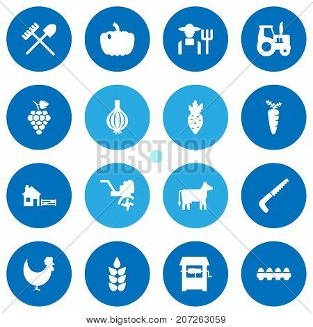 Collection Of Kine, Ranch, Rooster And Other Elements.  Set Of 16 Harvest Icons Set.