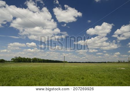 Korolyovka (Korolivka village) - village, Nikolaevsky village council, Novomoskovsk district, Dnepropetrovsk region, Ukraine.