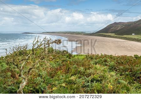 A landscape view of Rhossili Bay on the Gower Peninsula Swansea South Wales UK