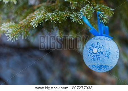 A blue fur-tree toy on a branch of blue fir-tree blue green white Colorado blue spruce Picea pungens covered with hoarfrost. New Year's Bekraund. A place for a copy-paste.
