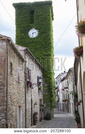 Frontino historic village in Montefeltro Pesaro Urbino Marches Italy). A street with the typical houses with plants and flowers