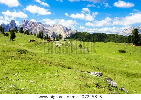Prato Piazza famous plateau in the Dolomites in South Tyrol located inside the Fanes - Sennes - Braies nature park. Italy