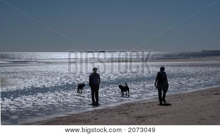 หาด Alnmouth