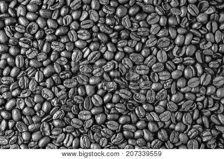Coffee beans as a background. Dlack and white texture. Close-up